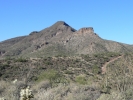 PICTURES/Elephant Mountain/t_Elephant Mt1.JPG